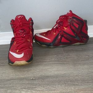 Special Edition Lebron 12’s